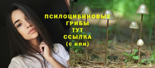 амф Алзамай