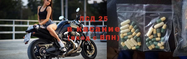 амф Алзамай