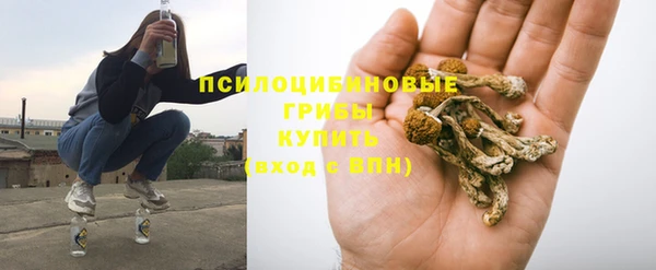 тгк Аркадак