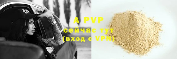тгк Алексин