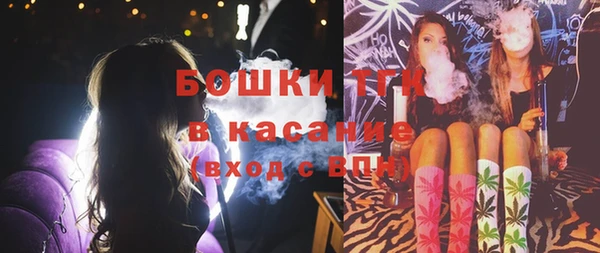 тгк Алексин