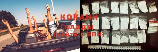 тгк Алексин